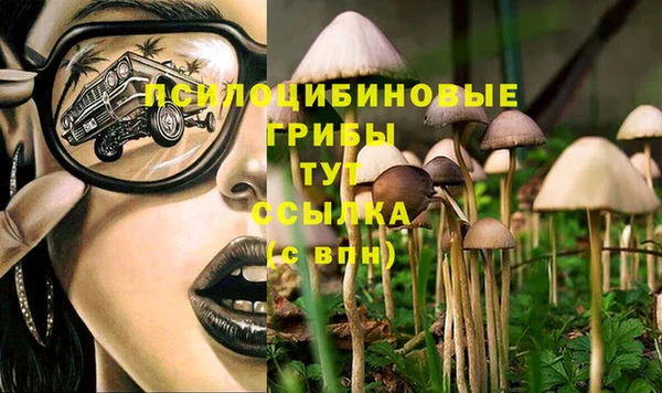 mix Арсеньев