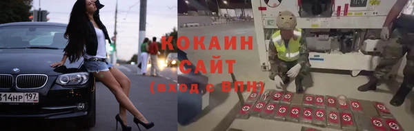 прущие крисы Аркадак