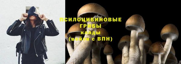 прущие крисы Аркадак