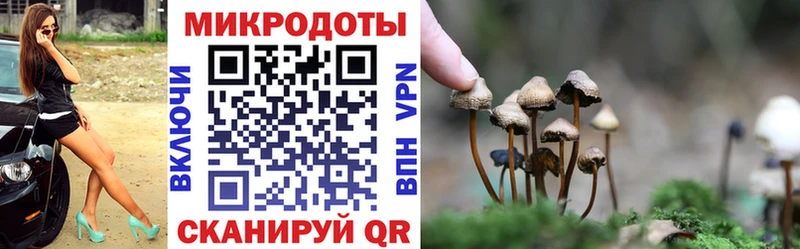Псилоцибиновые грибы GOLDEN TEACHER  МЕГА как войти  Пущино 